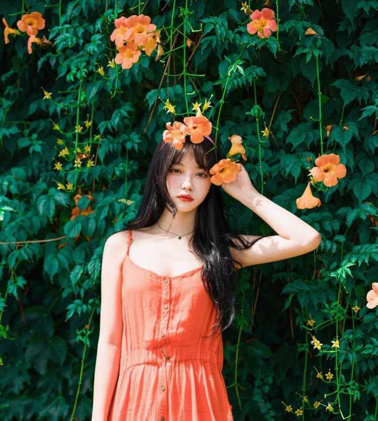 Кореянки Эстетика