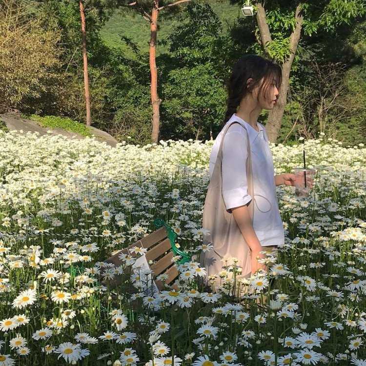 Шиндзюку Эстетика