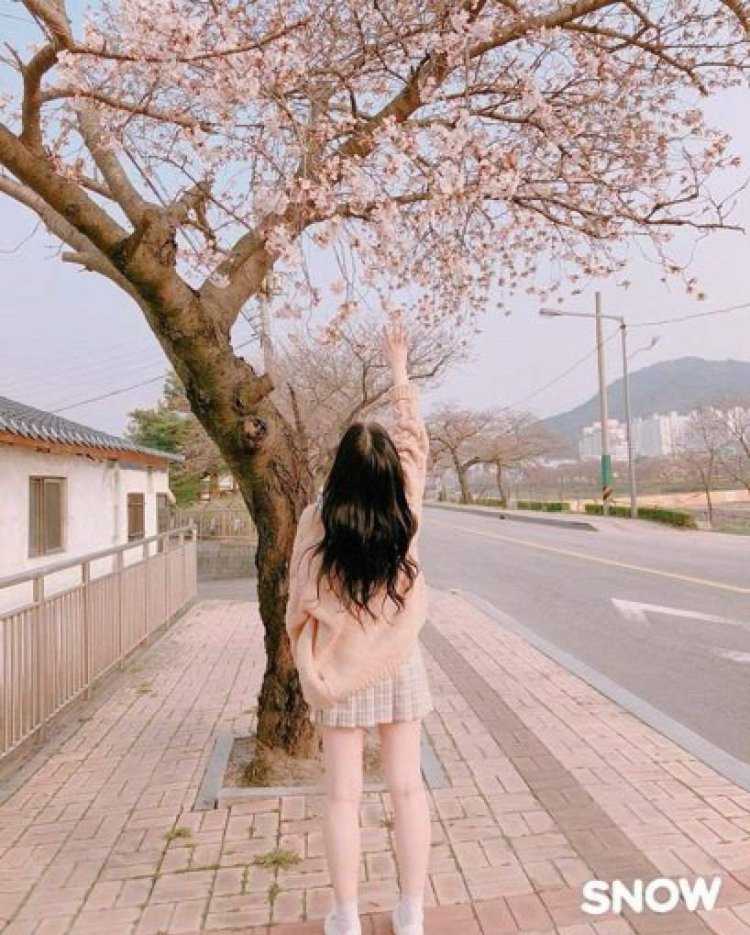 Кореан герл Эстетика