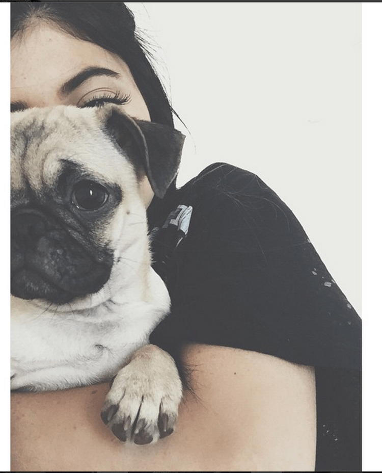 Брюнетка с мопсом