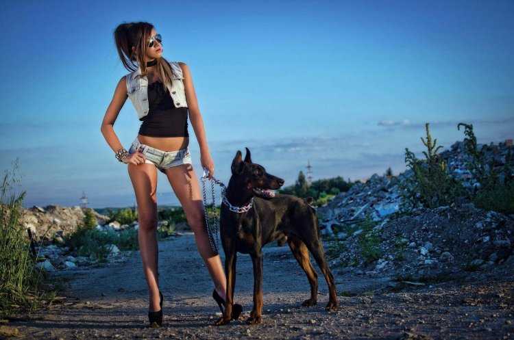 Катрина Доберман