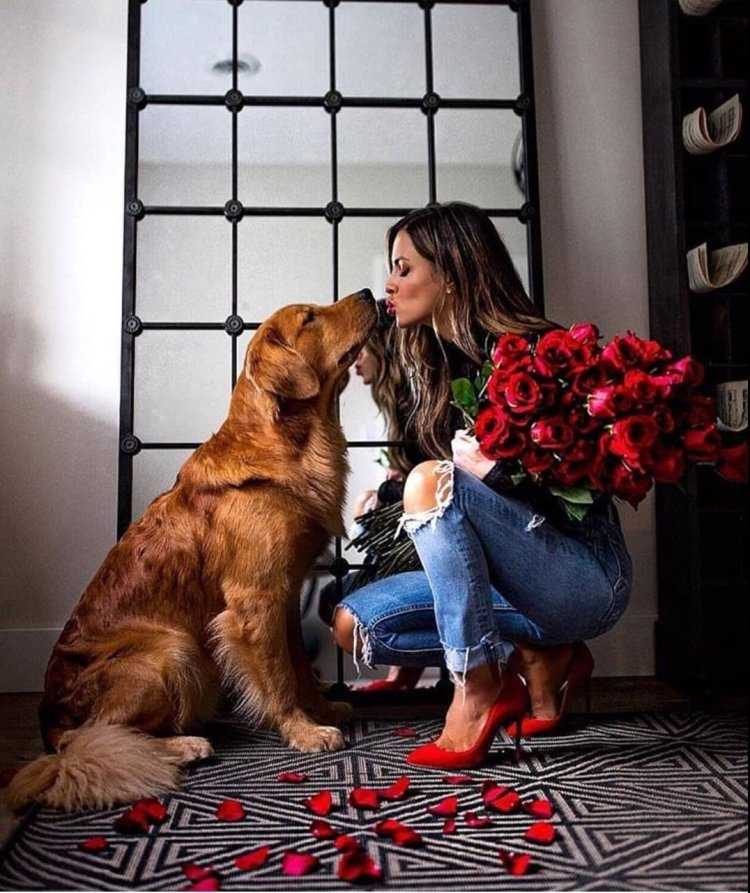 Домашняя фотосессия с собакой