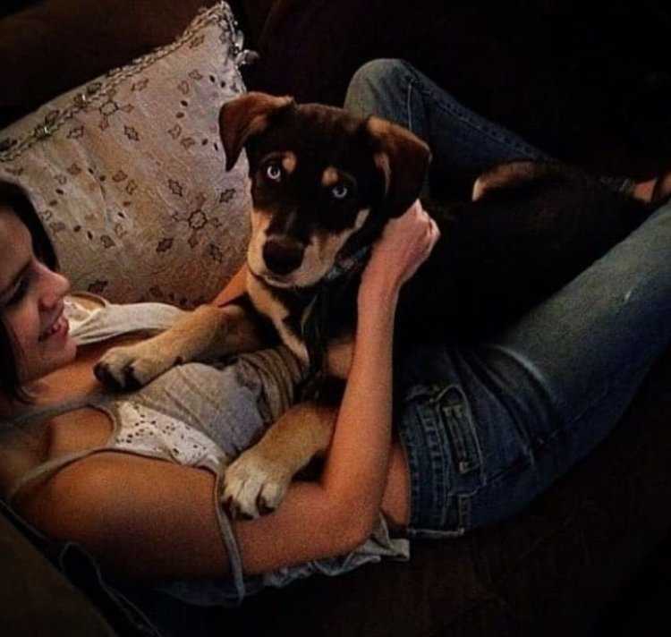 Брюнетка с собакой