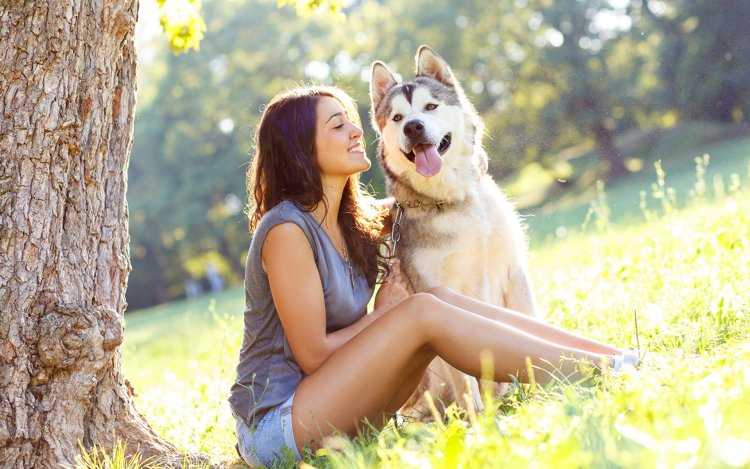 Фотосессия с собакой