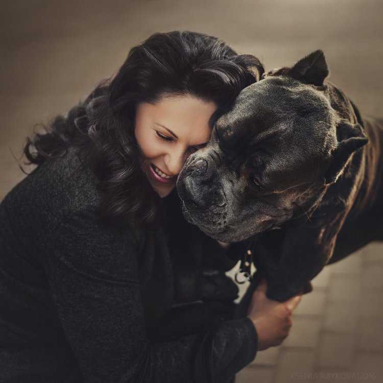 Наталья Вашингтон Кане Корсо