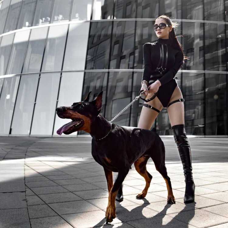 Катрина Доберман