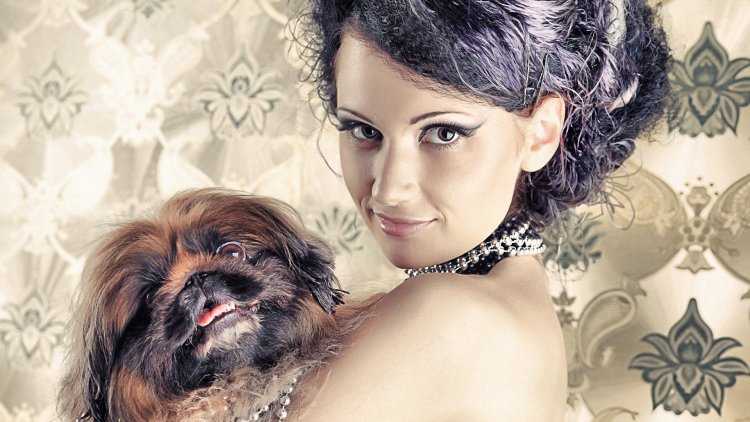 Таня Лоскутникова собаки