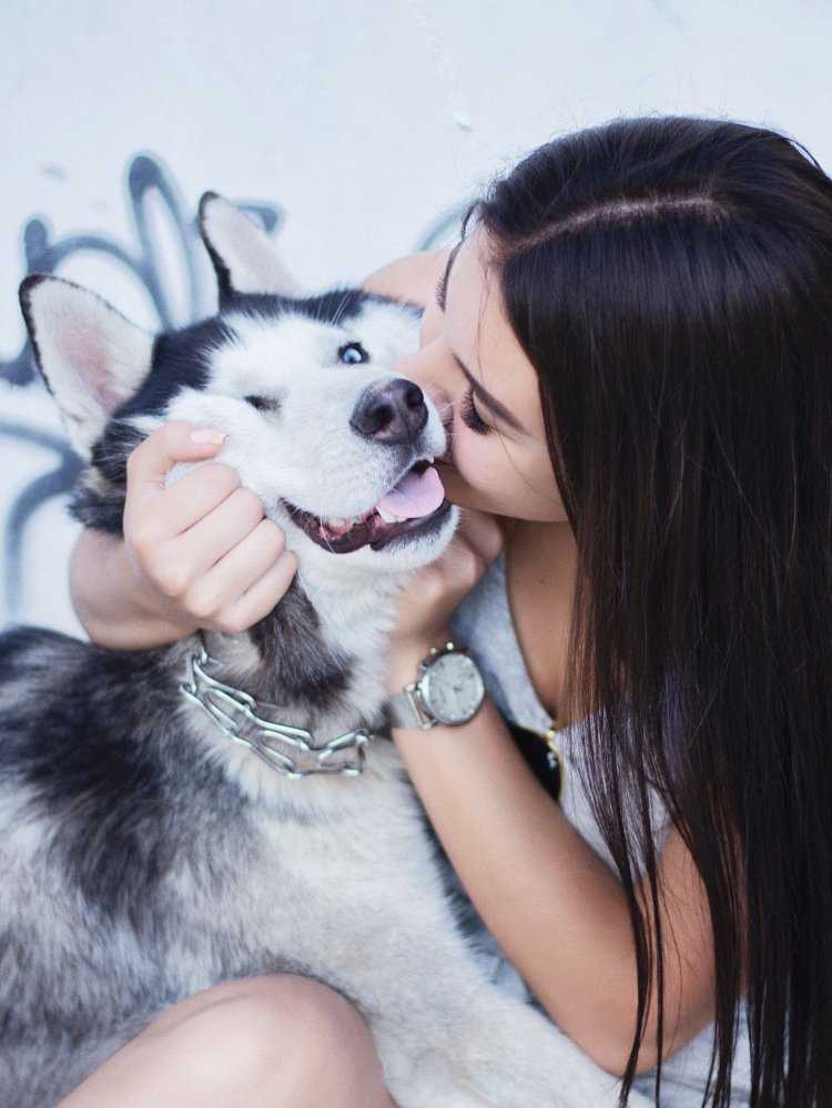 Брюнетка с хаски