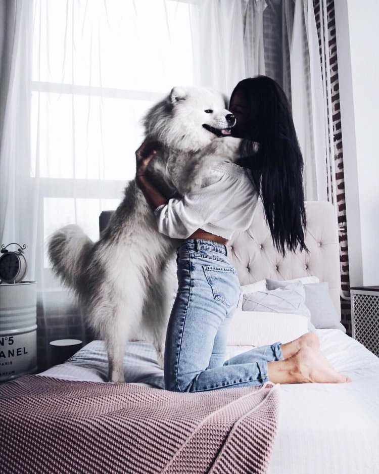 Девушка с собакой