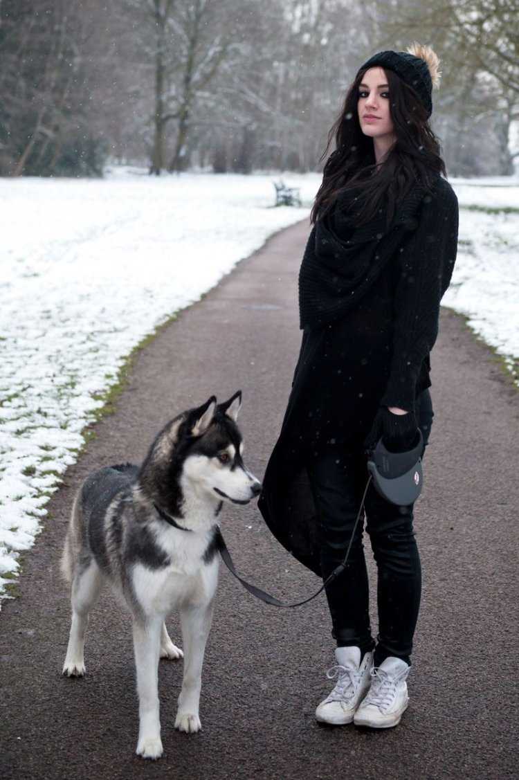 Сибирский хаски с человеком