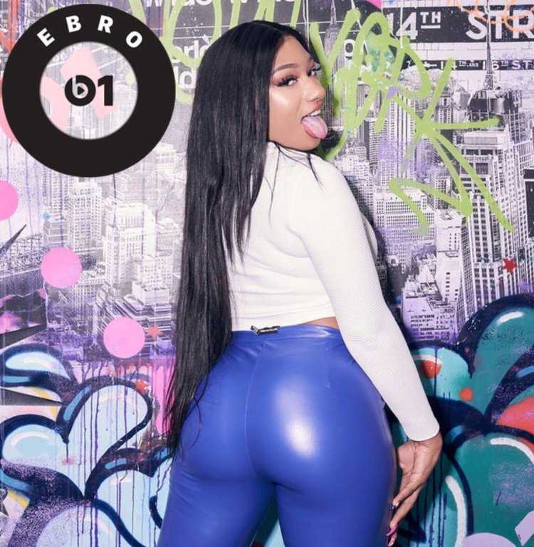 Меган сталлион попа