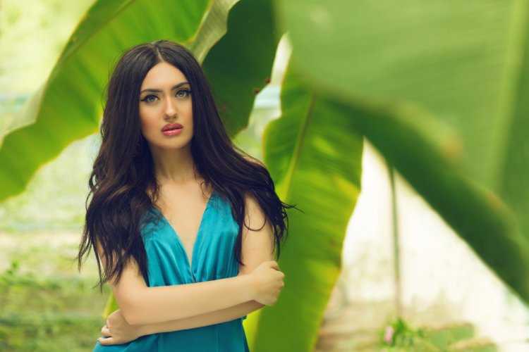 Модель Бану Шуджаи