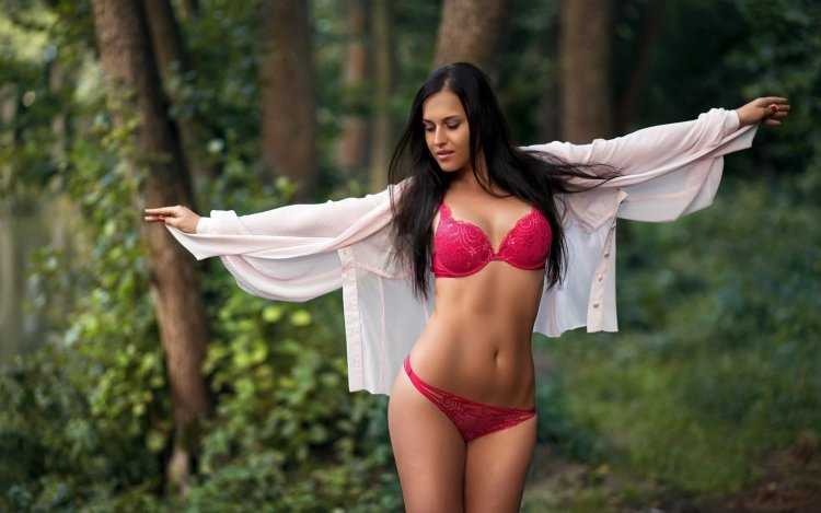 Alex korshun модель