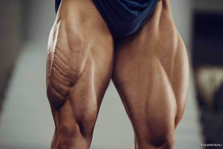 Красивые накаченные ноги мужские