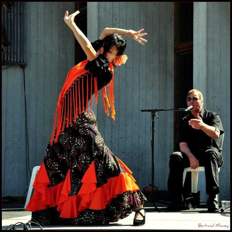 Мантон испанская шаль