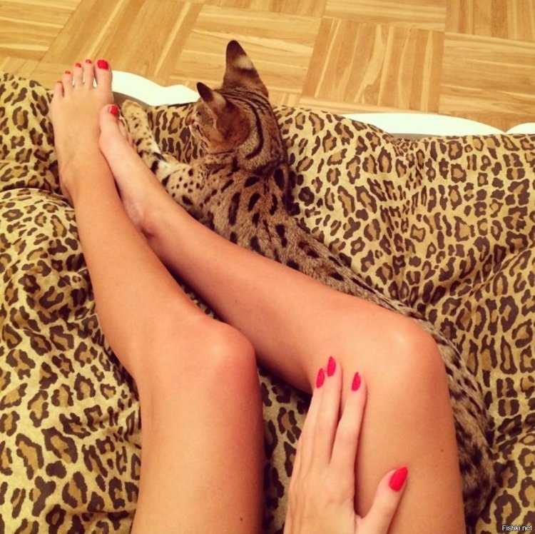 Ноги девушки дома