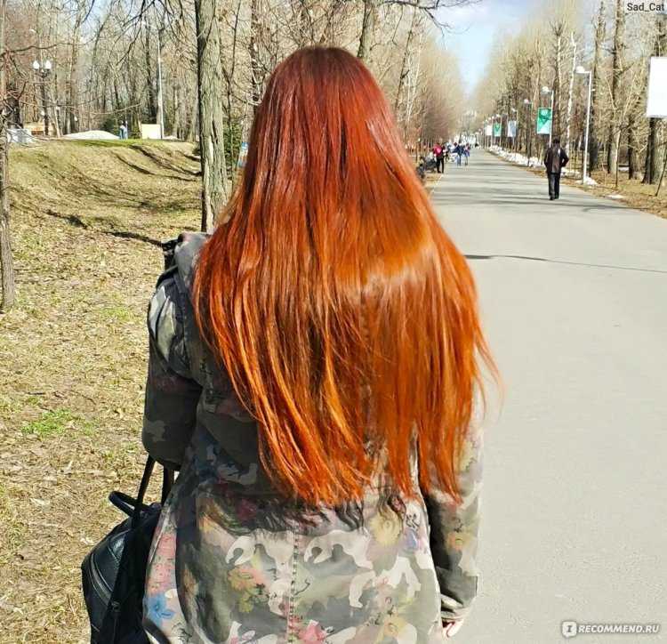 Волосы Покрашенные хной