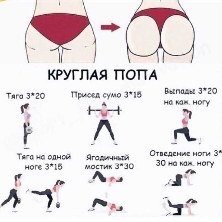 Талия ягодицы занятия