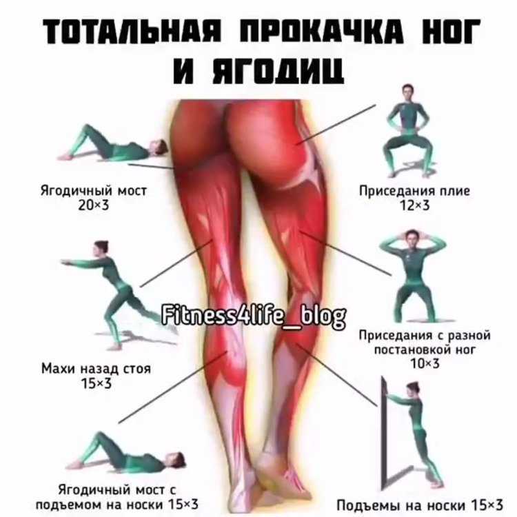 Упражнения на большую ягодичную мышцу для женщин