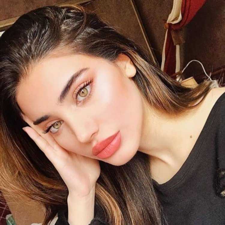 Negin Ghalavand до пластики