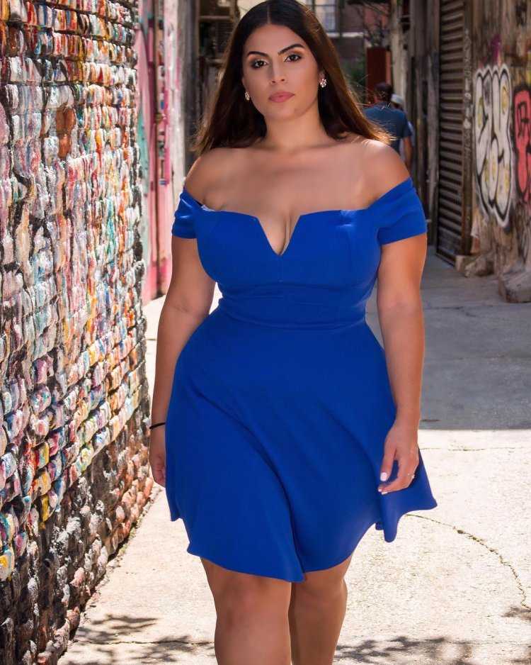 Данни Калифорния модель