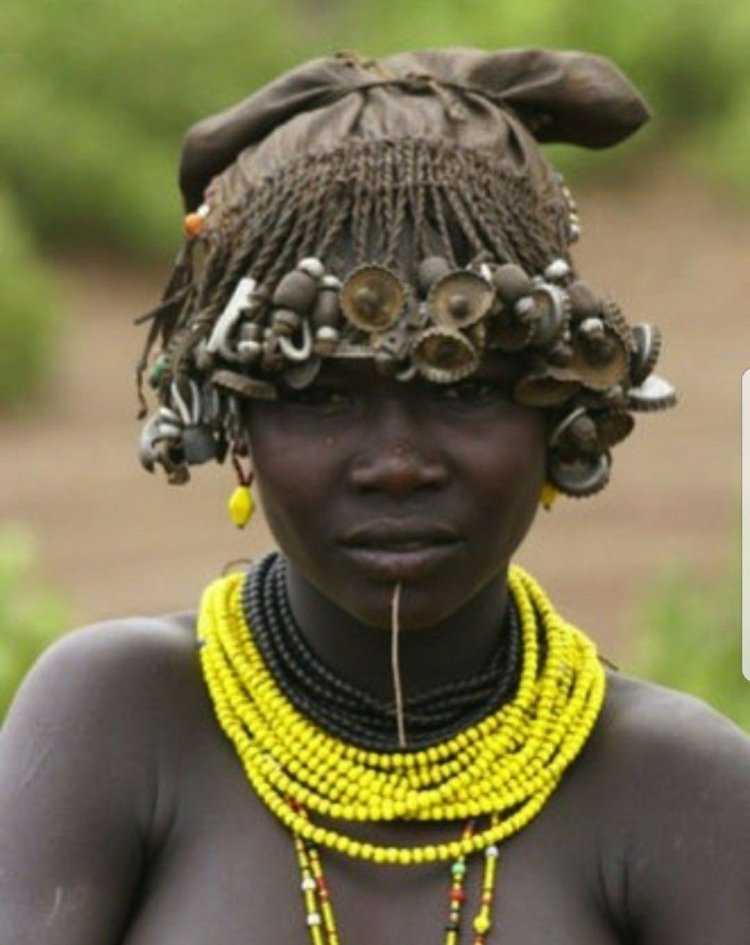 Пышные Афроамериканские женщины