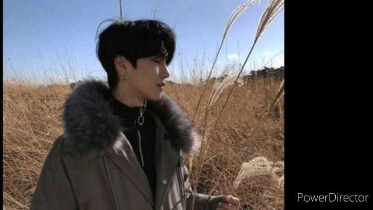 Северная Корея красивые парни