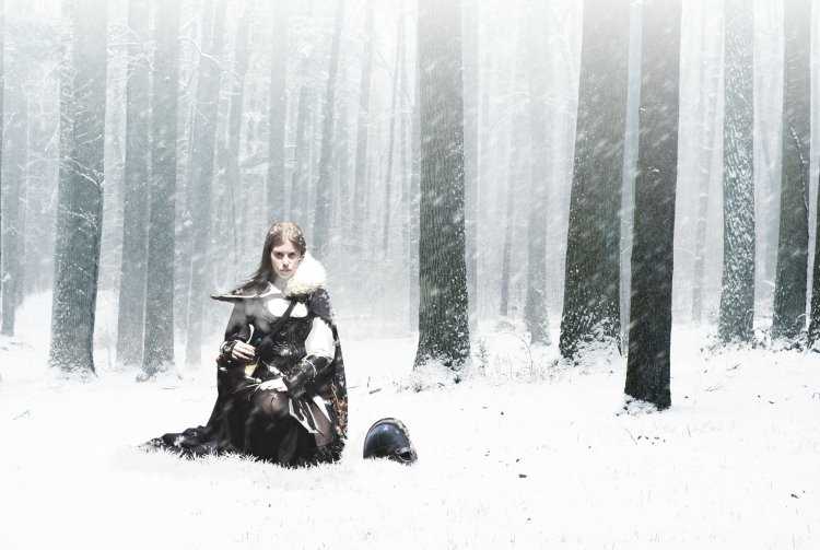 Воин в снегу