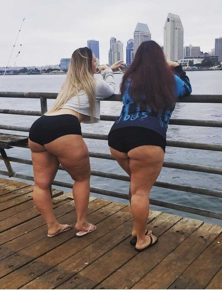 Василиса Дьячкова Минуэт