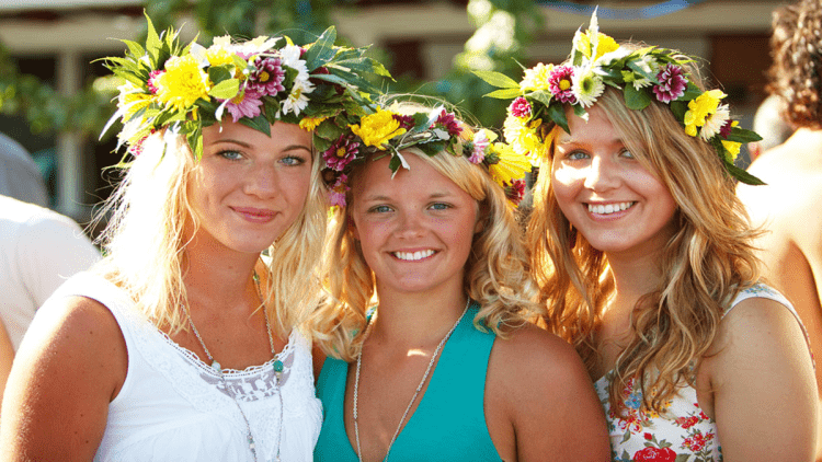 Три шведки51