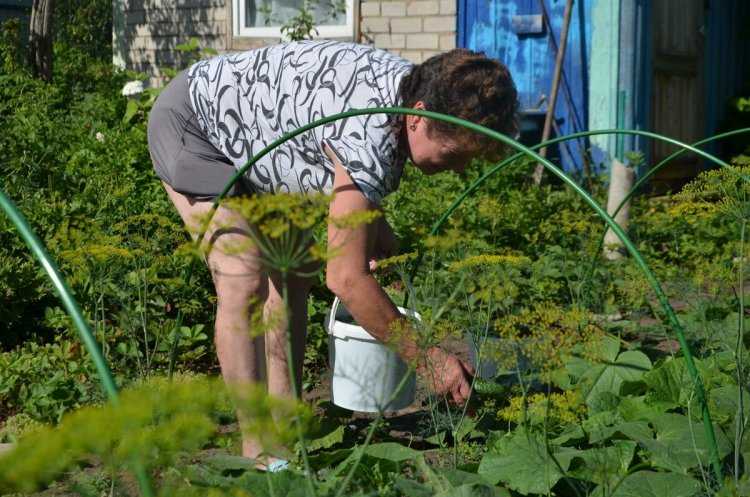 Прополка огорода на даче