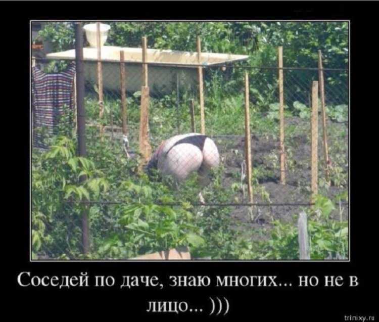 Жопа на даче2