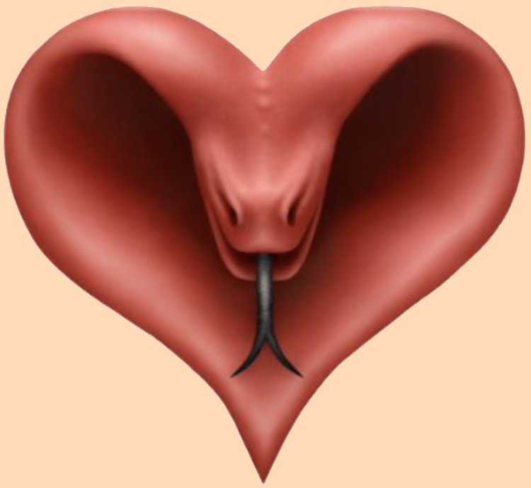 Жопа сердечком16