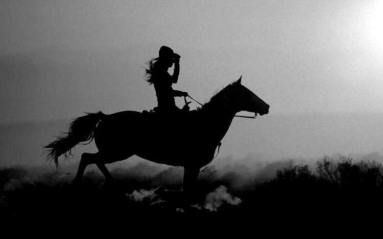 Красивый всадник на коне