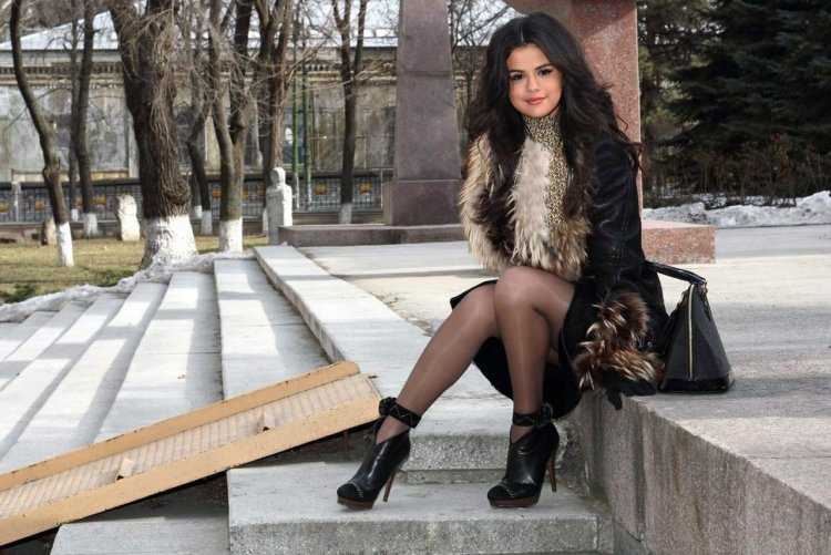 Shadi y cair модель