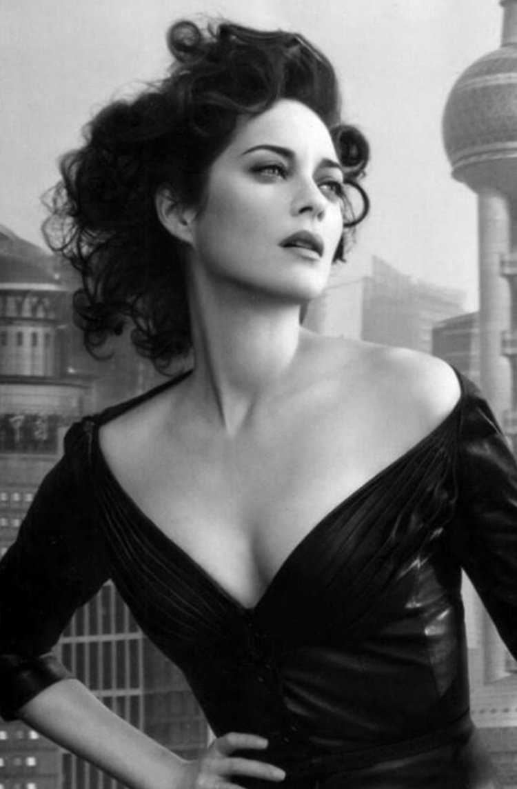 Вальбурга Блэк