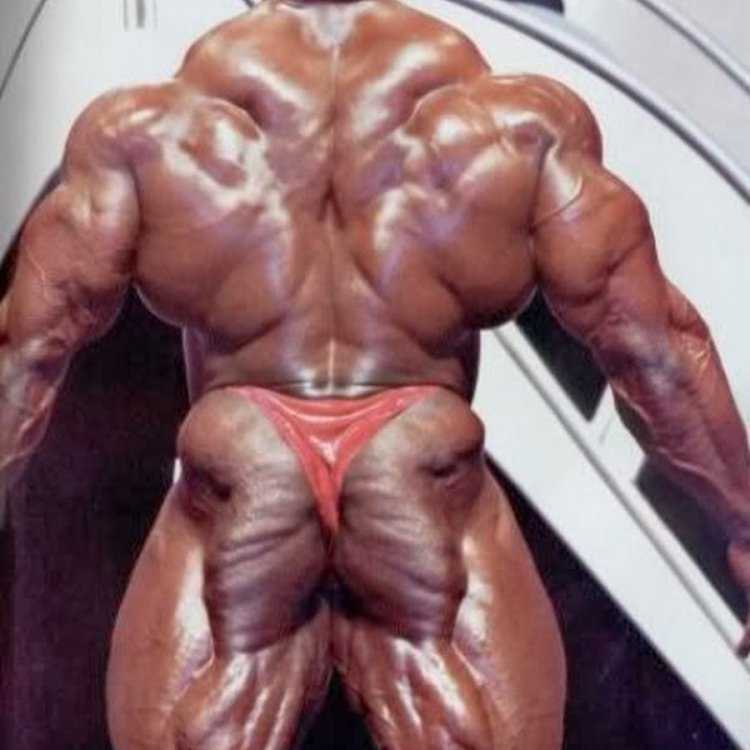 Санна фитнес модель