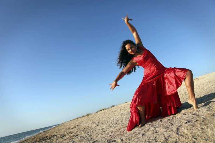 Фламенко на берегу моря