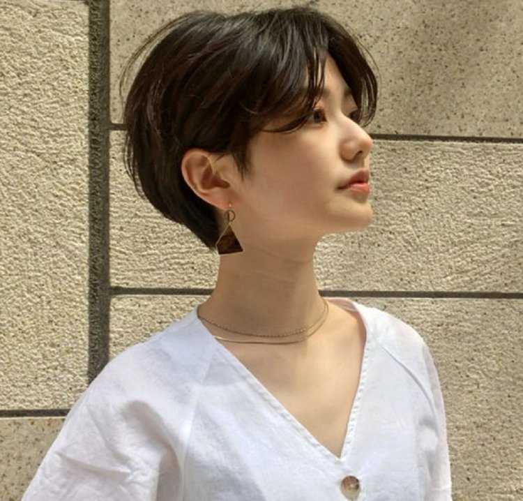 Pixie Bob стрижка Корея