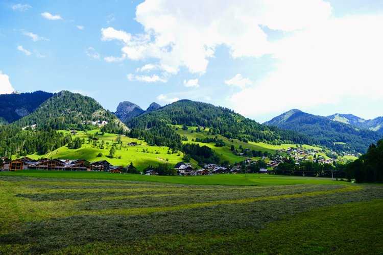 Французская жопа21