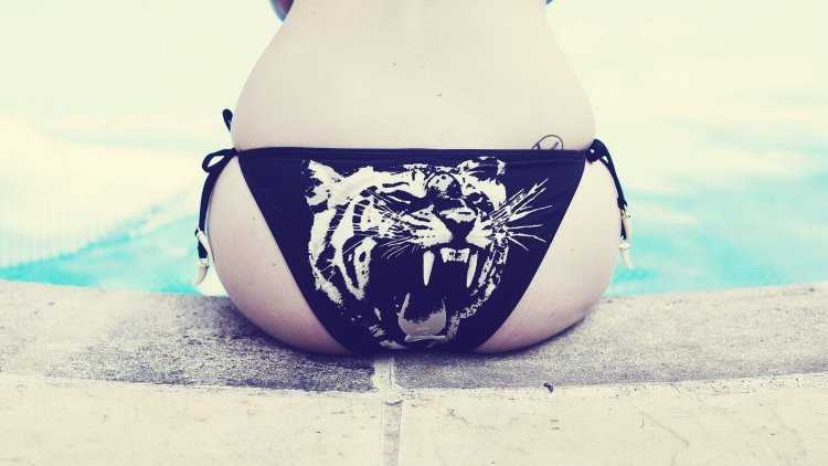 Обои на рабочий стол 1920х1080 попа