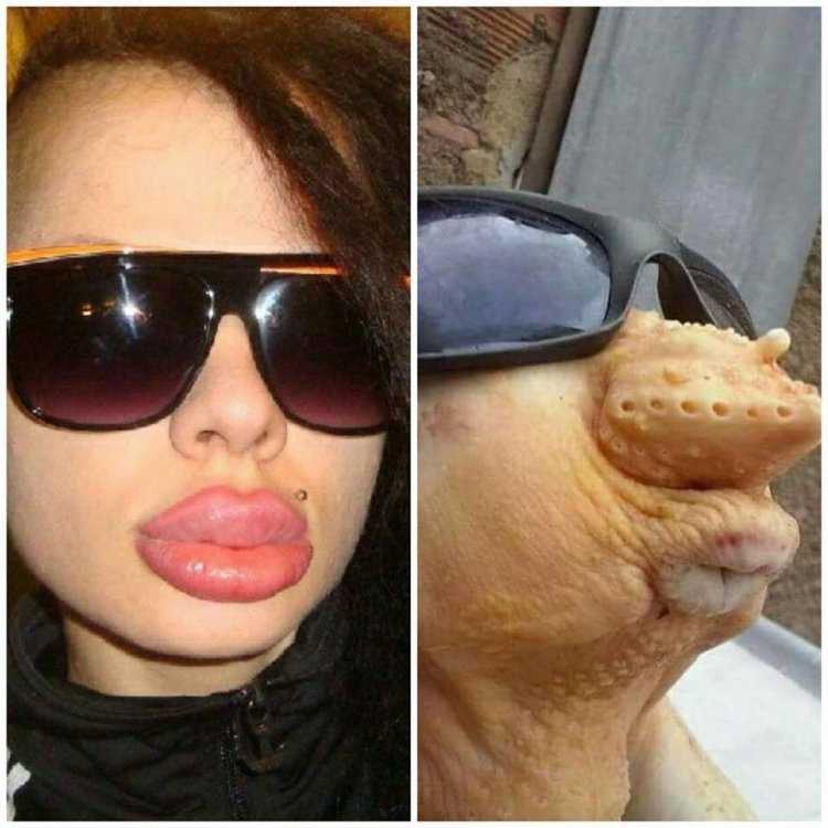 Курица с накачанными губами