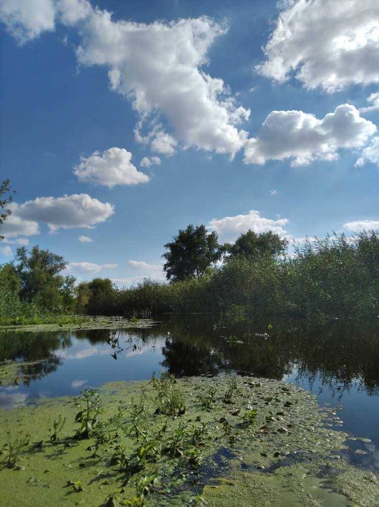 Казашка в лодке13