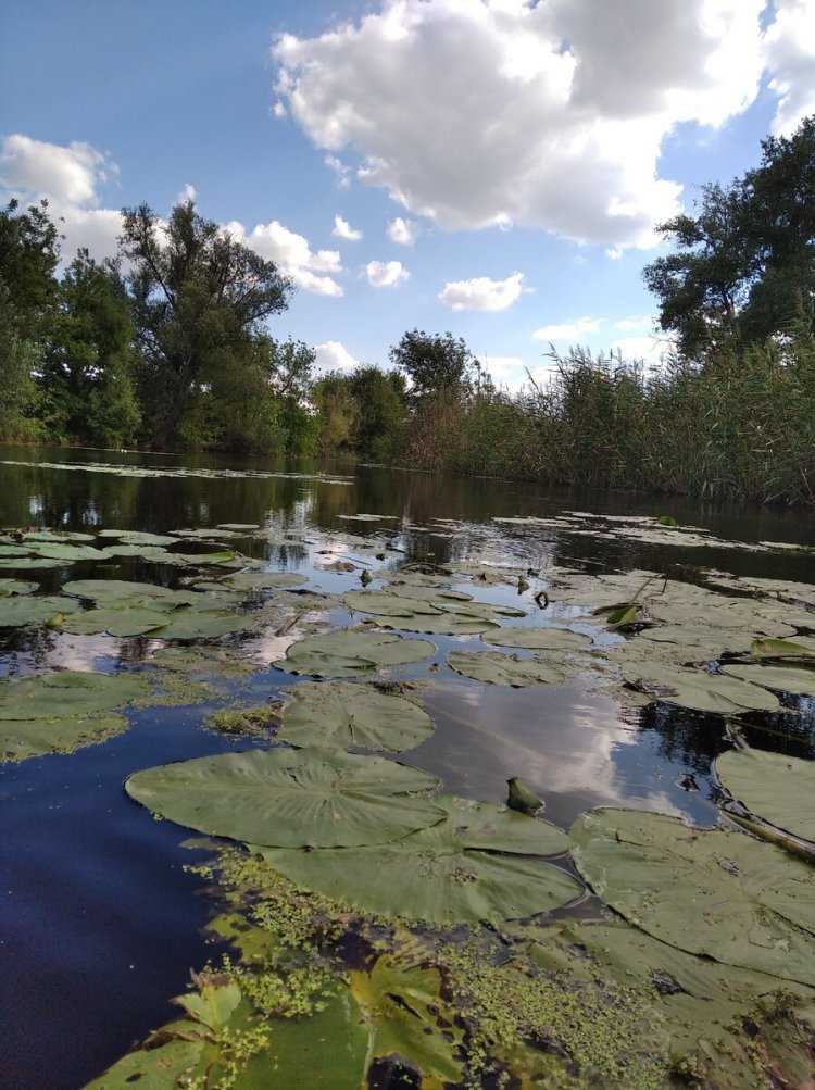 Казашка в лодке22