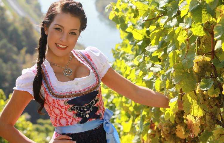 Смуглянка Молдаванка виноград