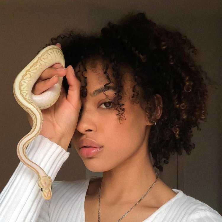 Эстетика темнокожих