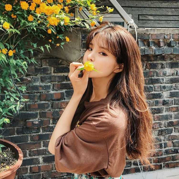 Корейский художник Ким ванки