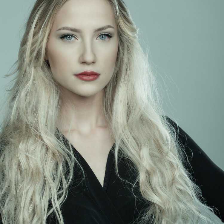 Скандинавская модель