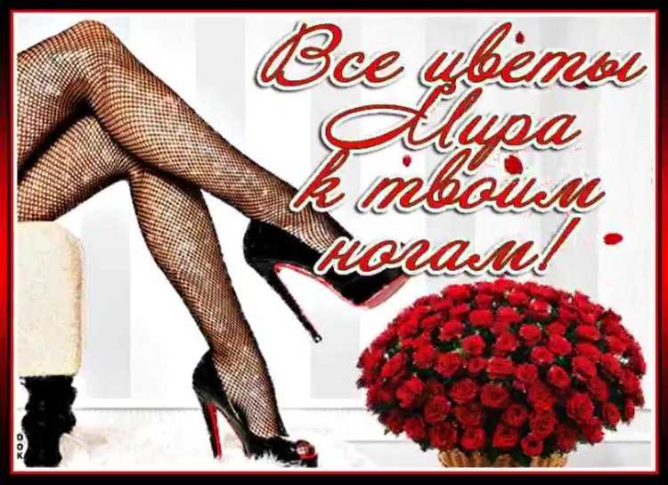 С днем рождения госпожа