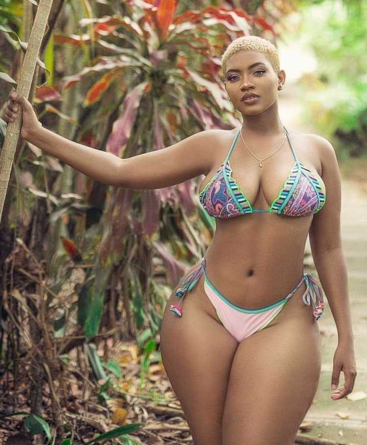 Табрия Мэйджорс модель